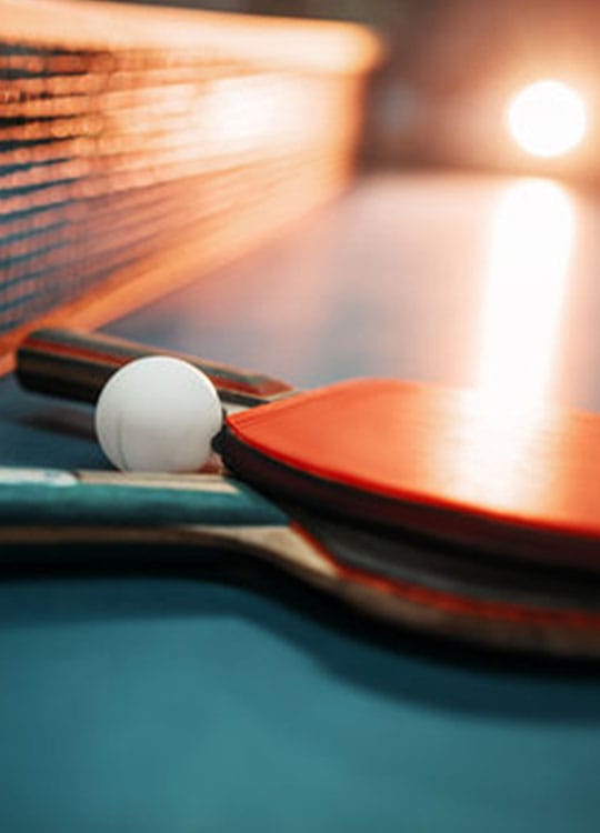 Table Tennis 1 2