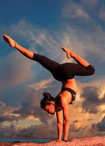 Trainer Dave 1 Artboard 39@1x